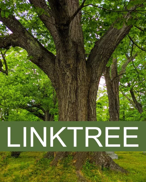 link tree